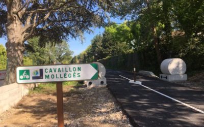 Alpilles et Pays d’Arles: Le tourisme à vélo se structure!