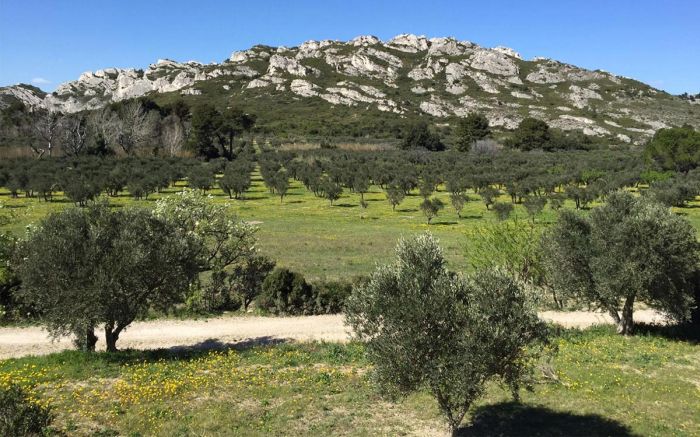 2 parcours phare des Alpilles à vélo en vidéo 3D!