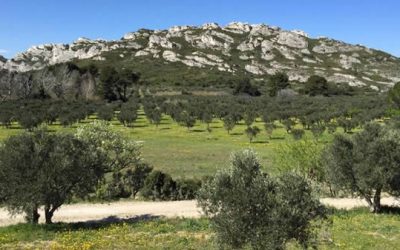 Compte Rendu et Présentation du « COTECH » mis en place par le PNRA (Parc Naturel Régional des Alpilles)